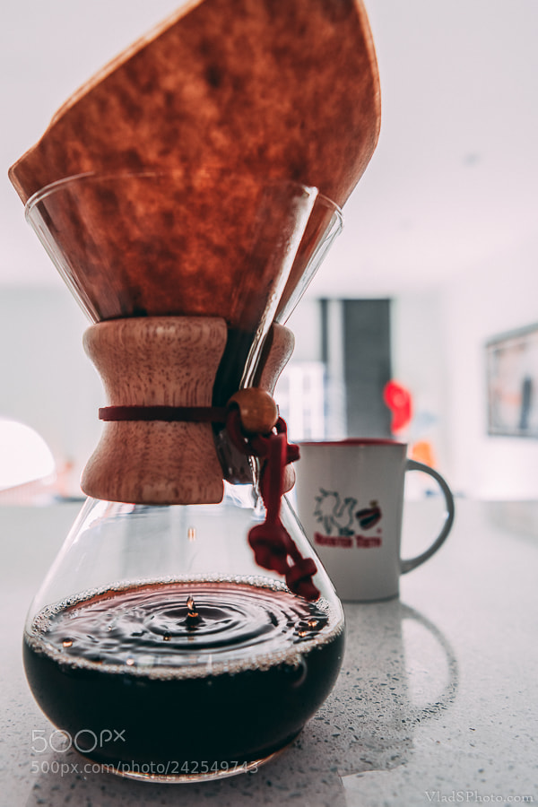 Nikon D850 sample photo. 14/365 photography