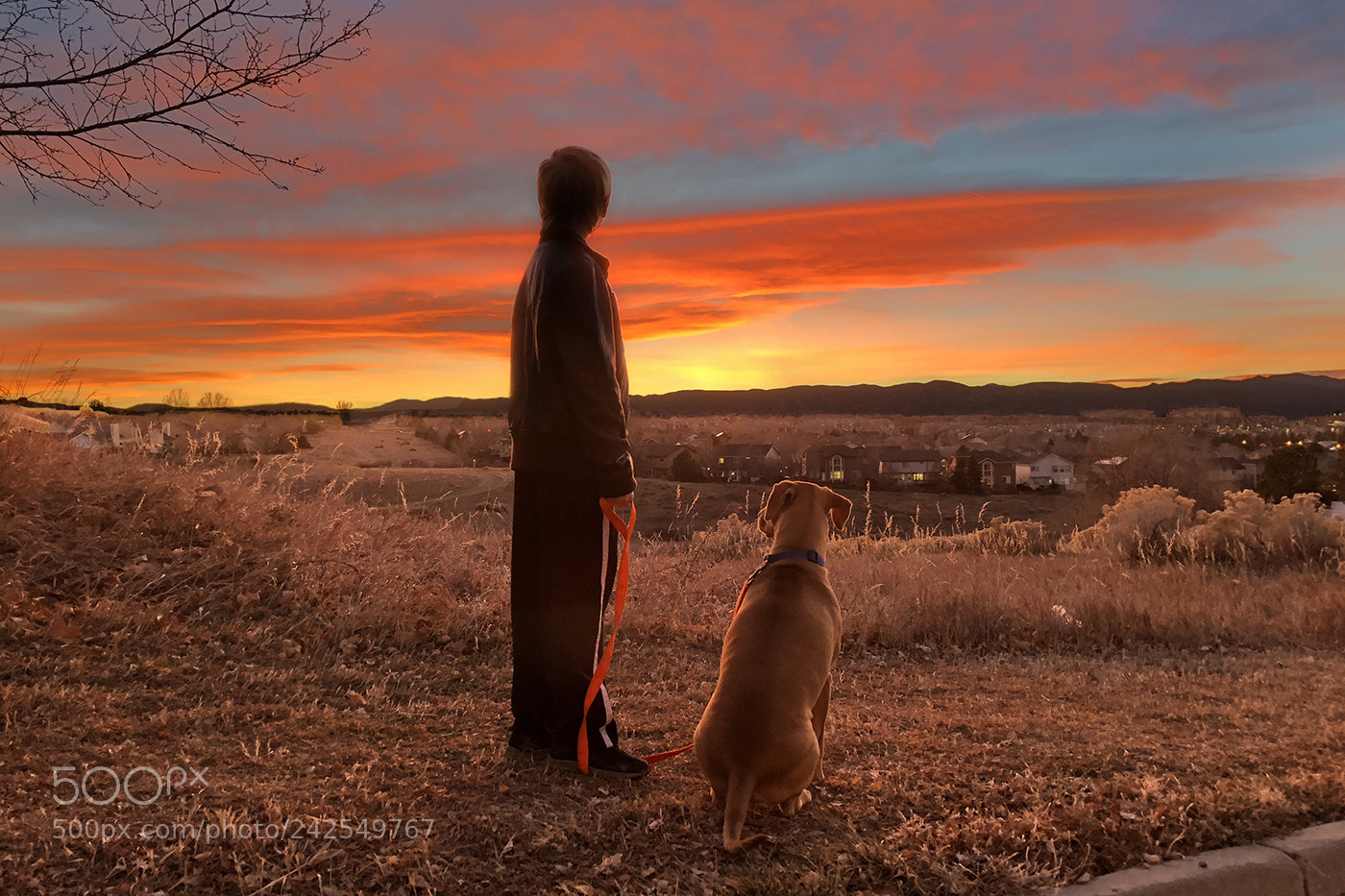 Apple iPhone 8 Plus sample photo. Colorado sunset photography