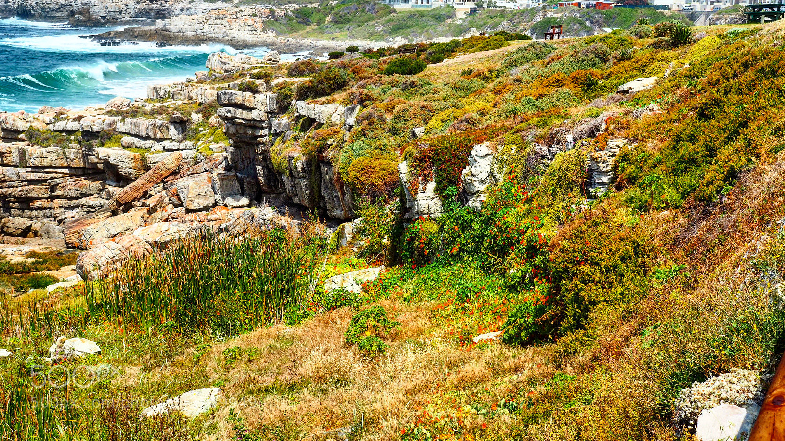 Olympus OM-D E-M5 II sample photo. Cape coastline photography