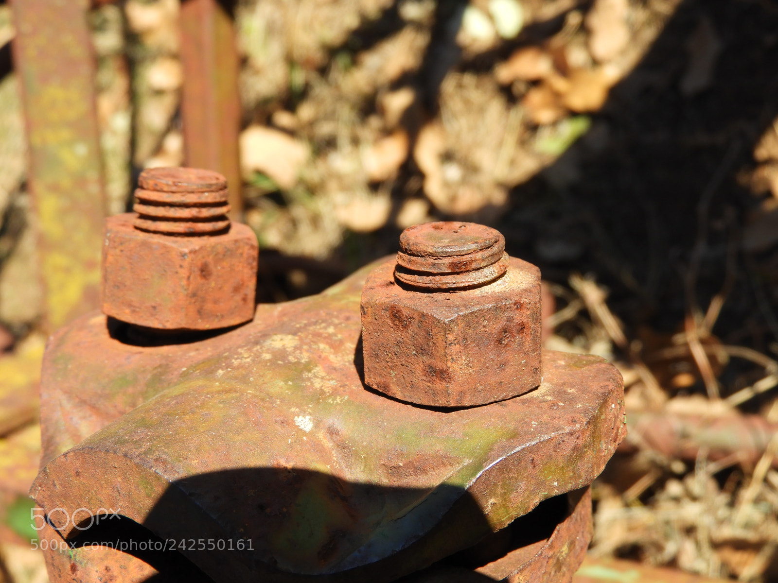 Nikon Coolpix B700 sample photo. Rusty nuts photography