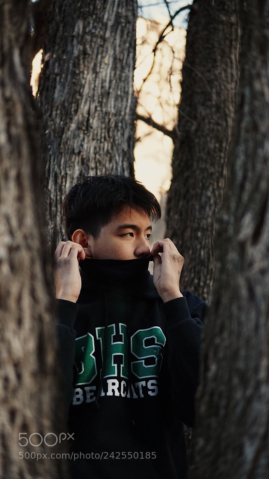 Sony a6300 sample photo. Fashion tree photography