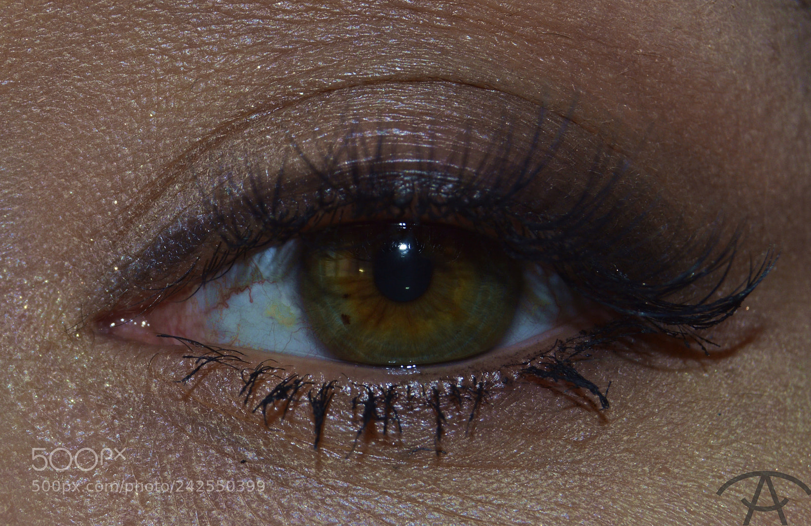 Nikon D3200 sample photo. Dinara photography
