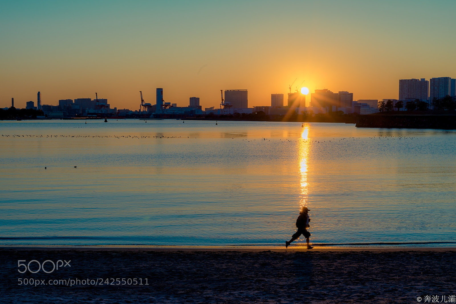 Sony a7 II sample photo. Sunset in tokyo bay photography
