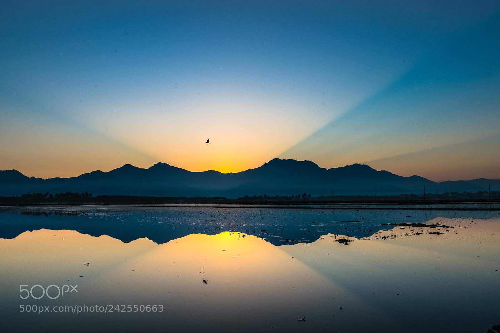 Fujifilm X-T10 sample photo. 晨曦 photography