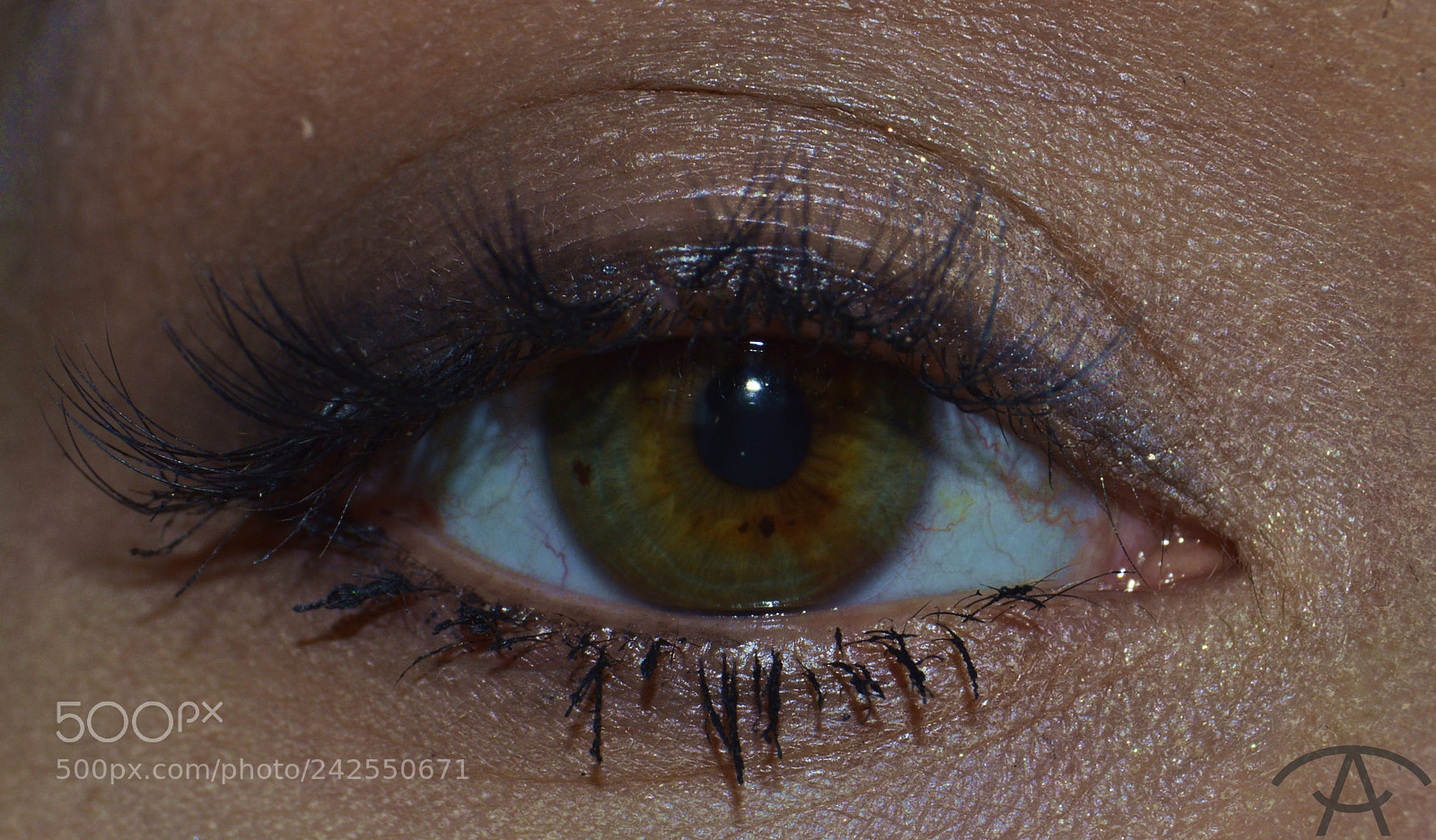 Nikon D3200 sample photo. Dinara photography