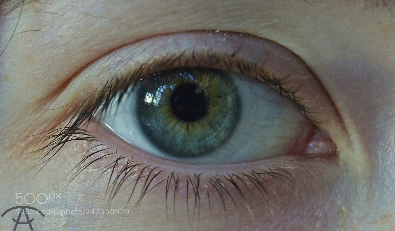 Nikon D3200 sample photo. Anastasia photography