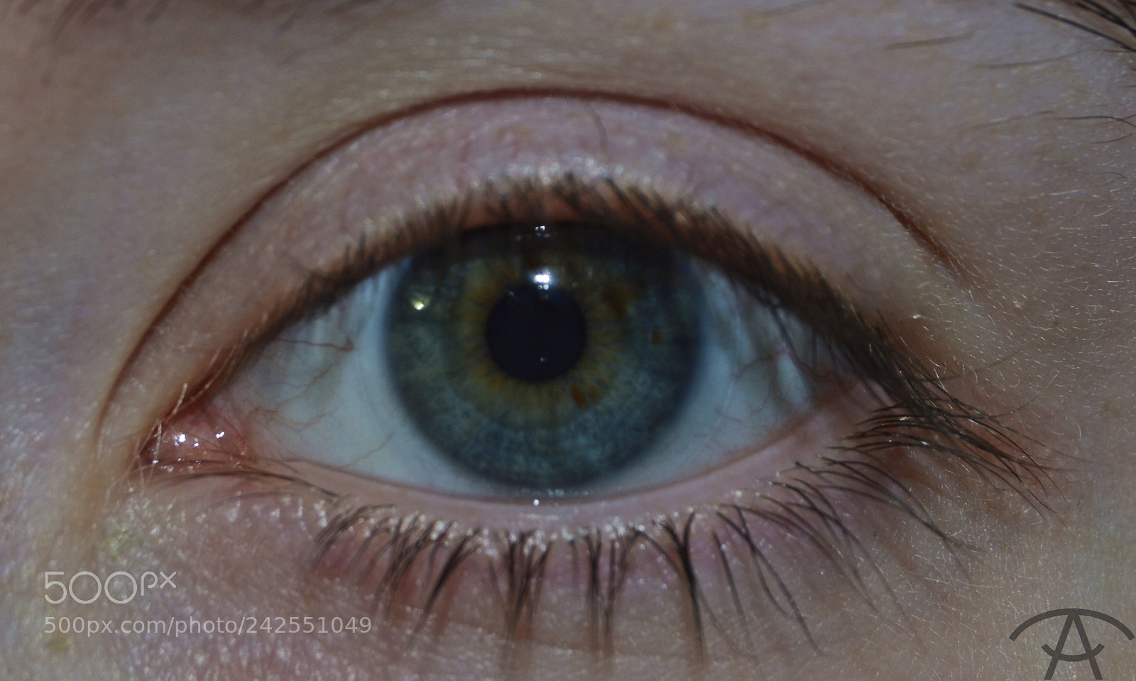 Nikon D3200 sample photo. Anastasia photography