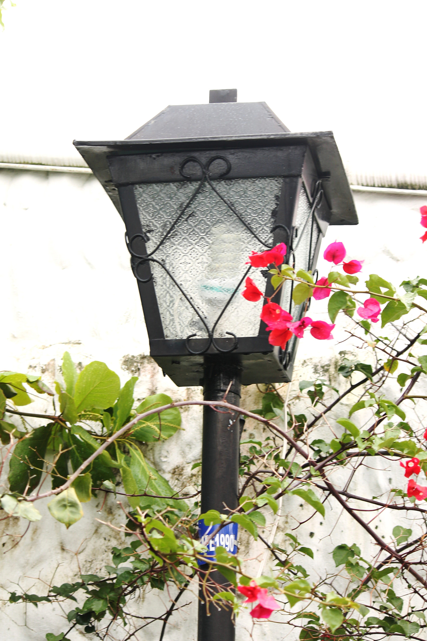 Canon EOS 1100D (EOS Rebel T3 / EOS Kiss X50) sample photo. Romantic and haughty lantern, bluff photography