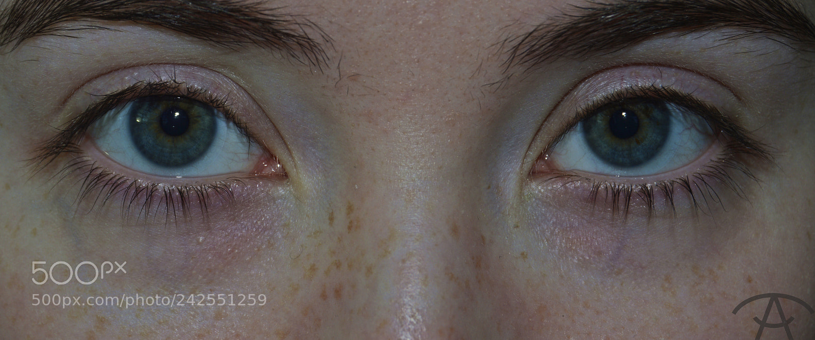 Nikon D3200 sample photo. Anastasia photography