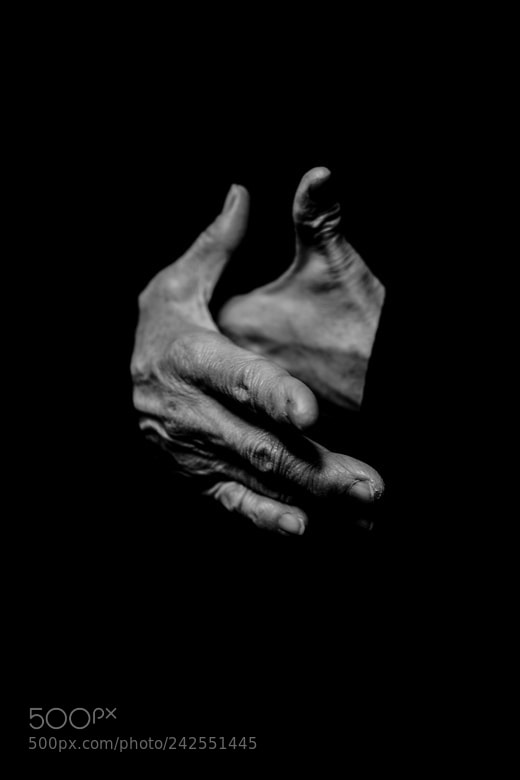 Nikon D7100 sample photo. Hand photography