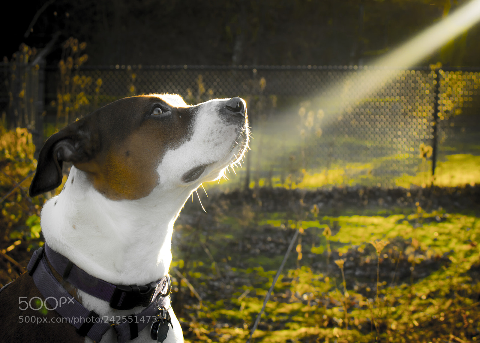 Canon EOS 750D (EOS Rebel T6i / EOS Kiss X8i) sample photo. Snapped this picture of photography