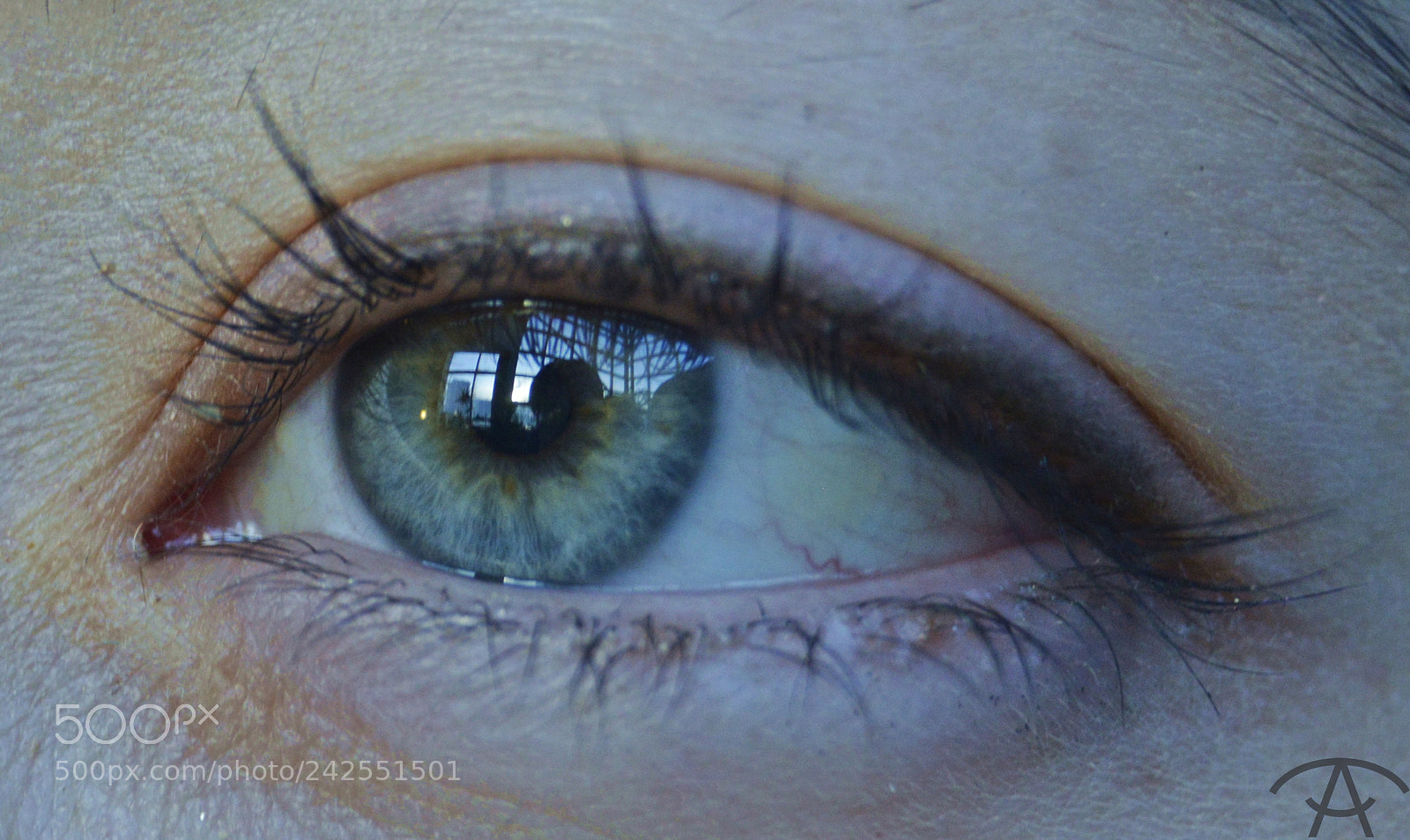 Nikon D3200 sample photo. Dana photography