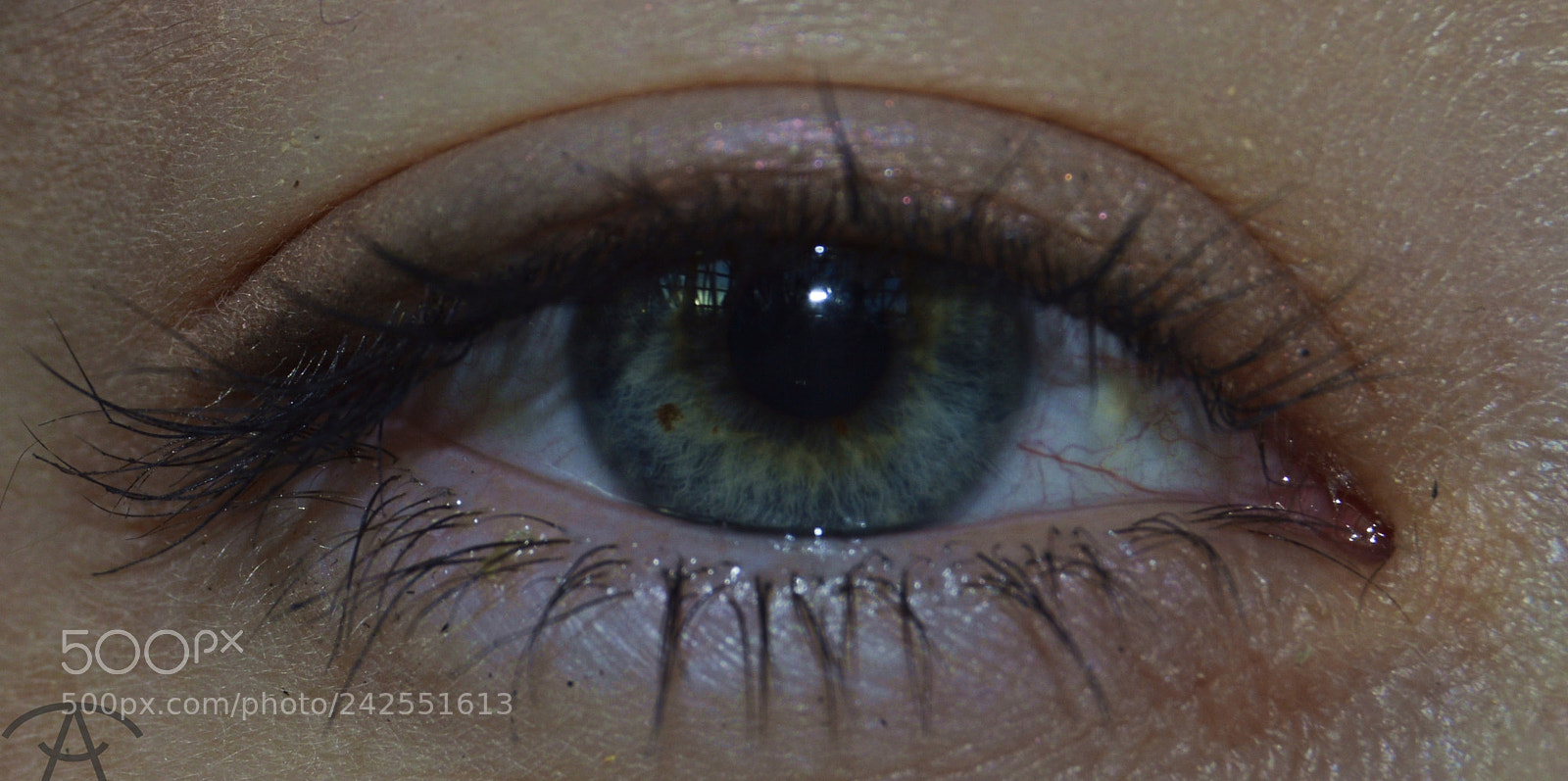 Nikon D3200 sample photo. Dana photography