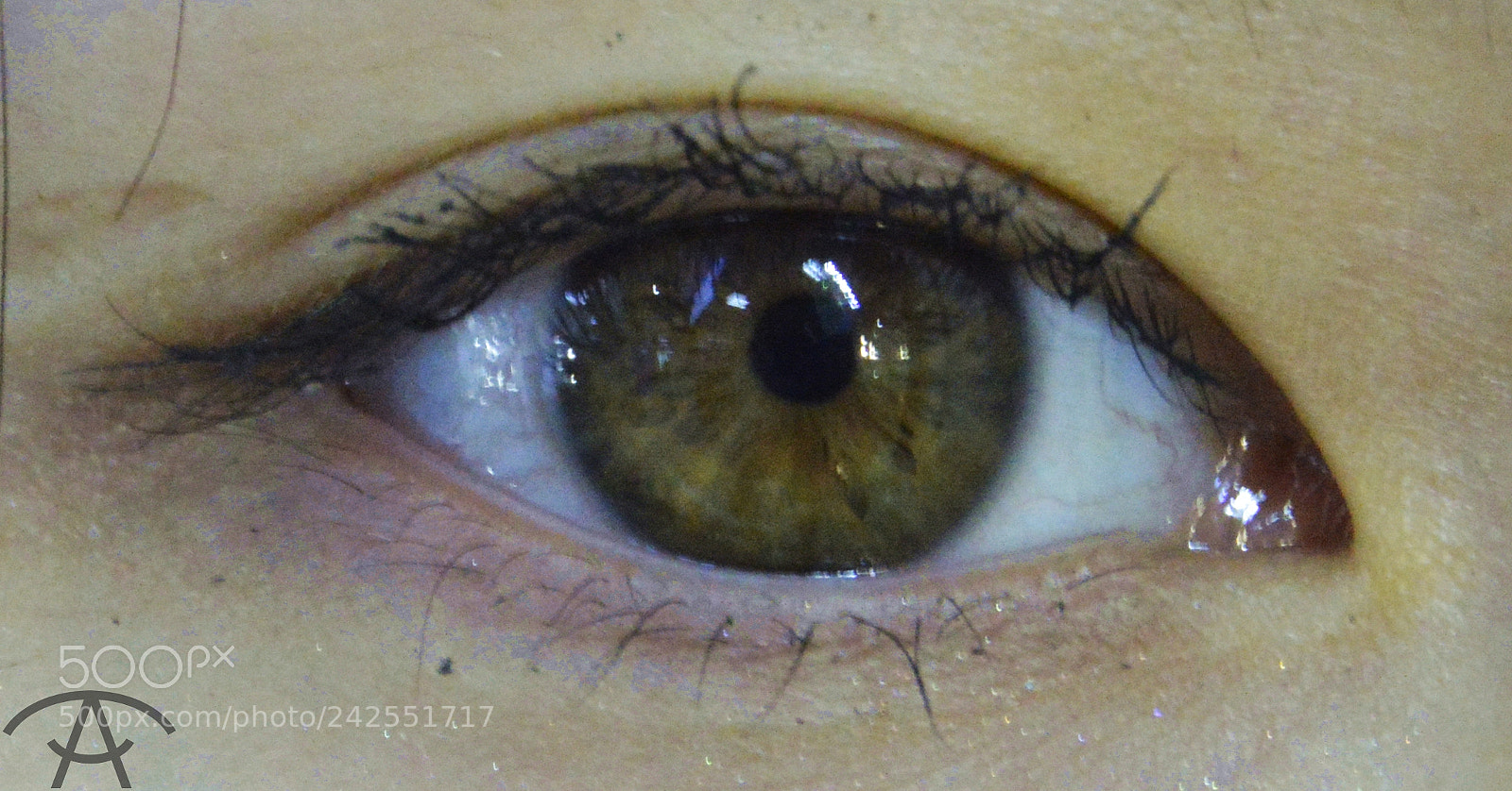 Nikon D3200 sample photo. Julia photography