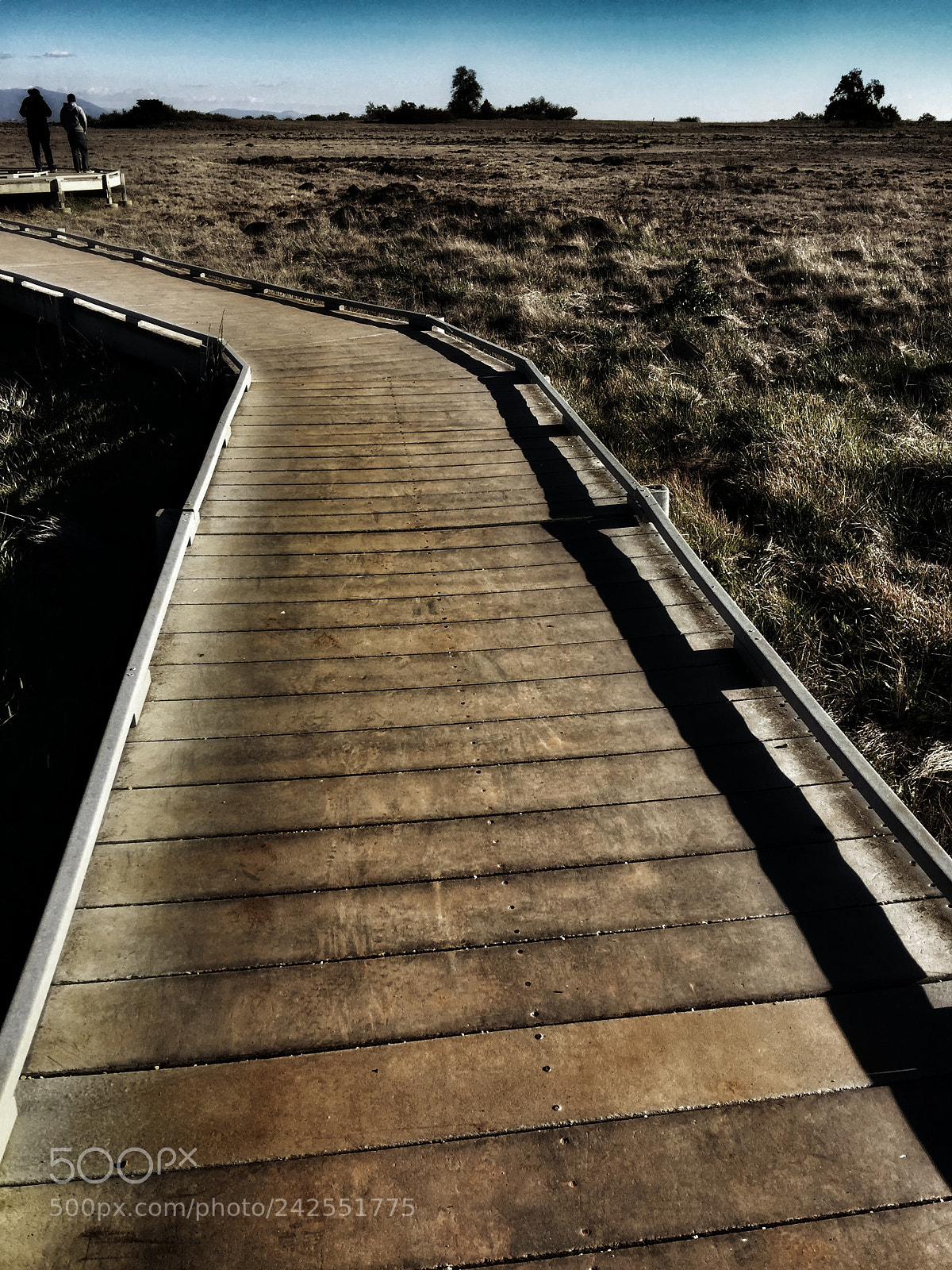 Apple iPhone 6 Plus sample photo. Boardwalk photography