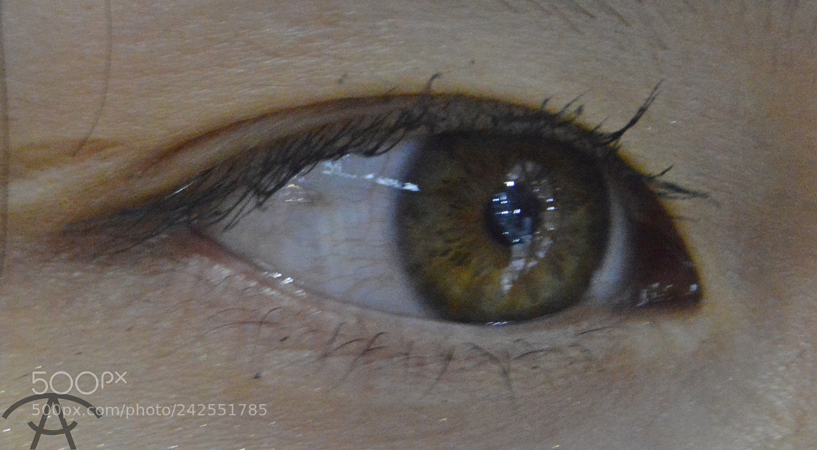 Nikon D3200 sample photo. Julia photography