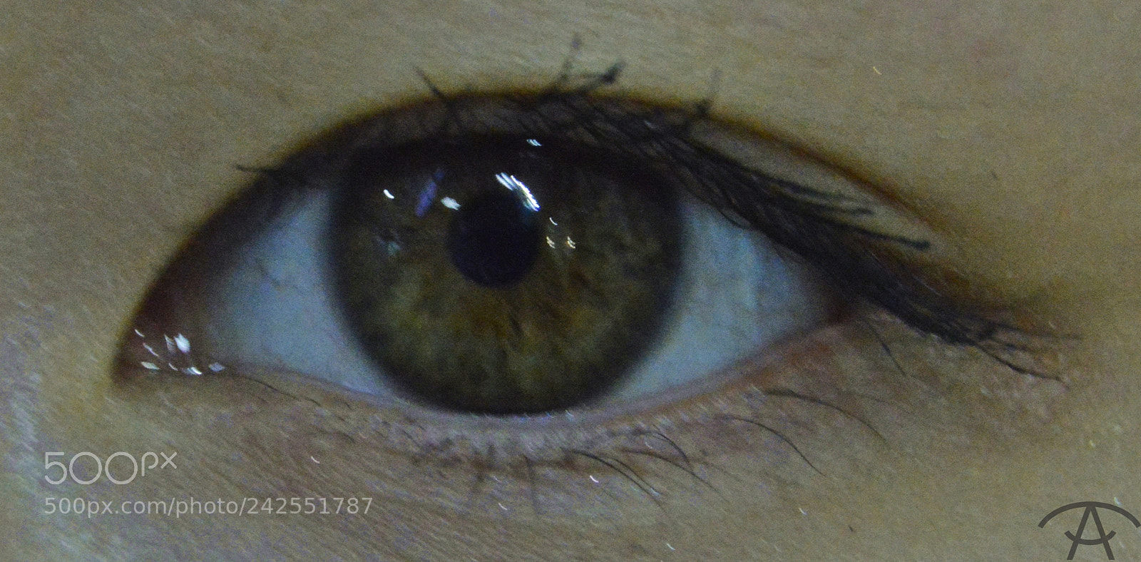 Nikon D3200 sample photo. Julia photography