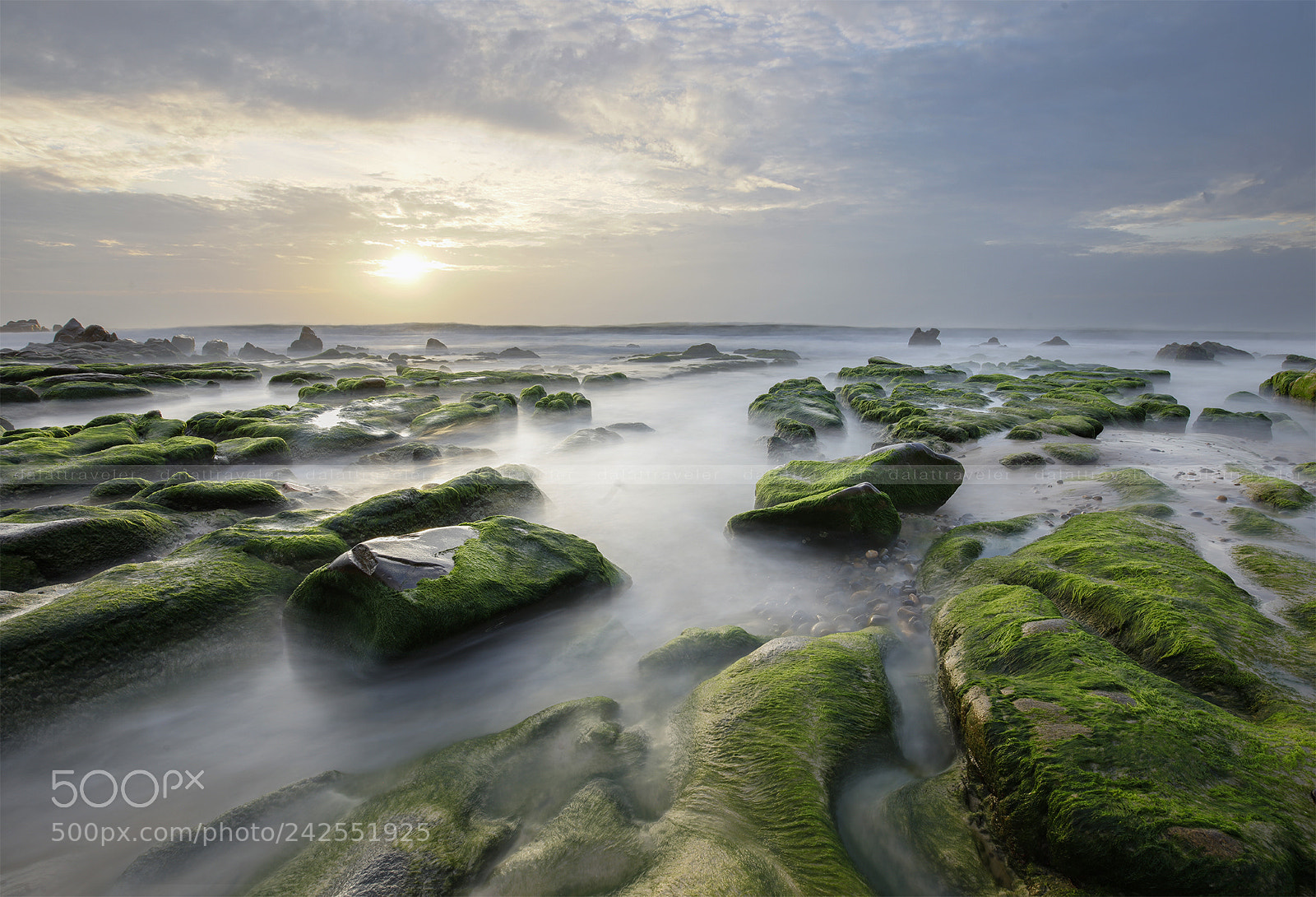 Canon EOS 5DS R sample photo. Moss island - co photography