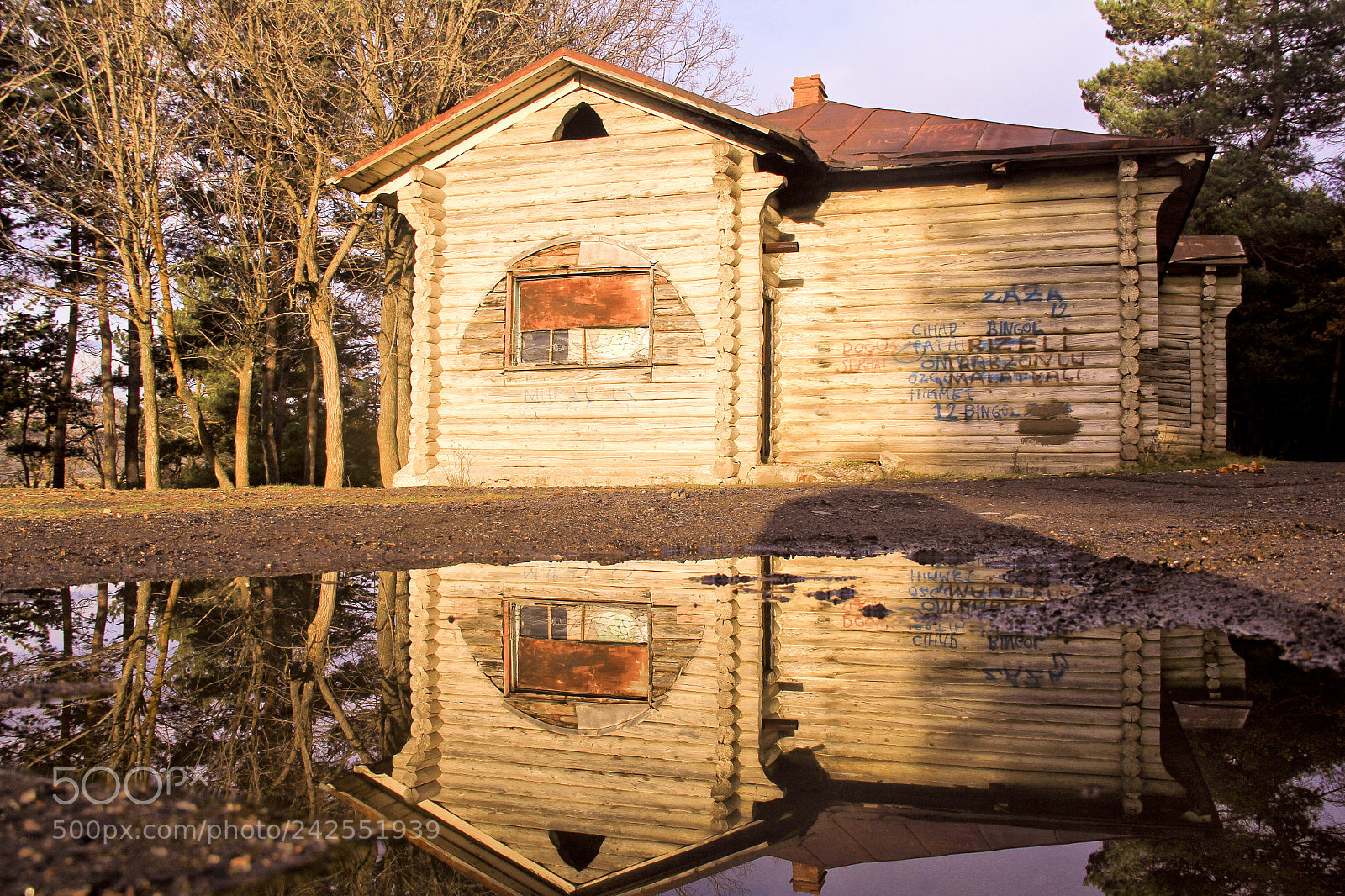 Canon EOS 60D sample photo. Reflection photography