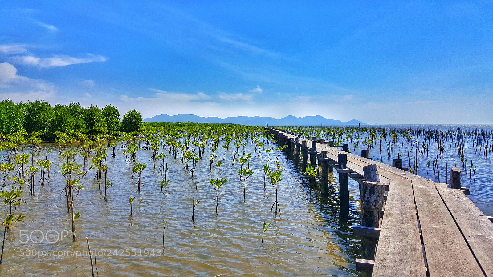 Samsung Galaxy Note5 sample photo. ត្រពាំងសង្កែ photography