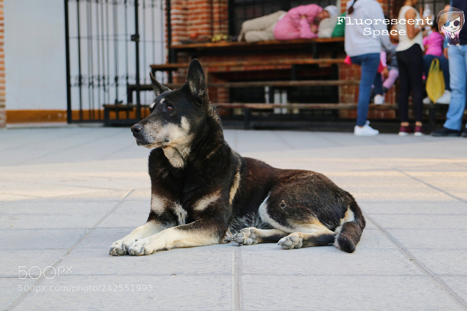 Canon EOS M3 sample photo. Sinceridad photography