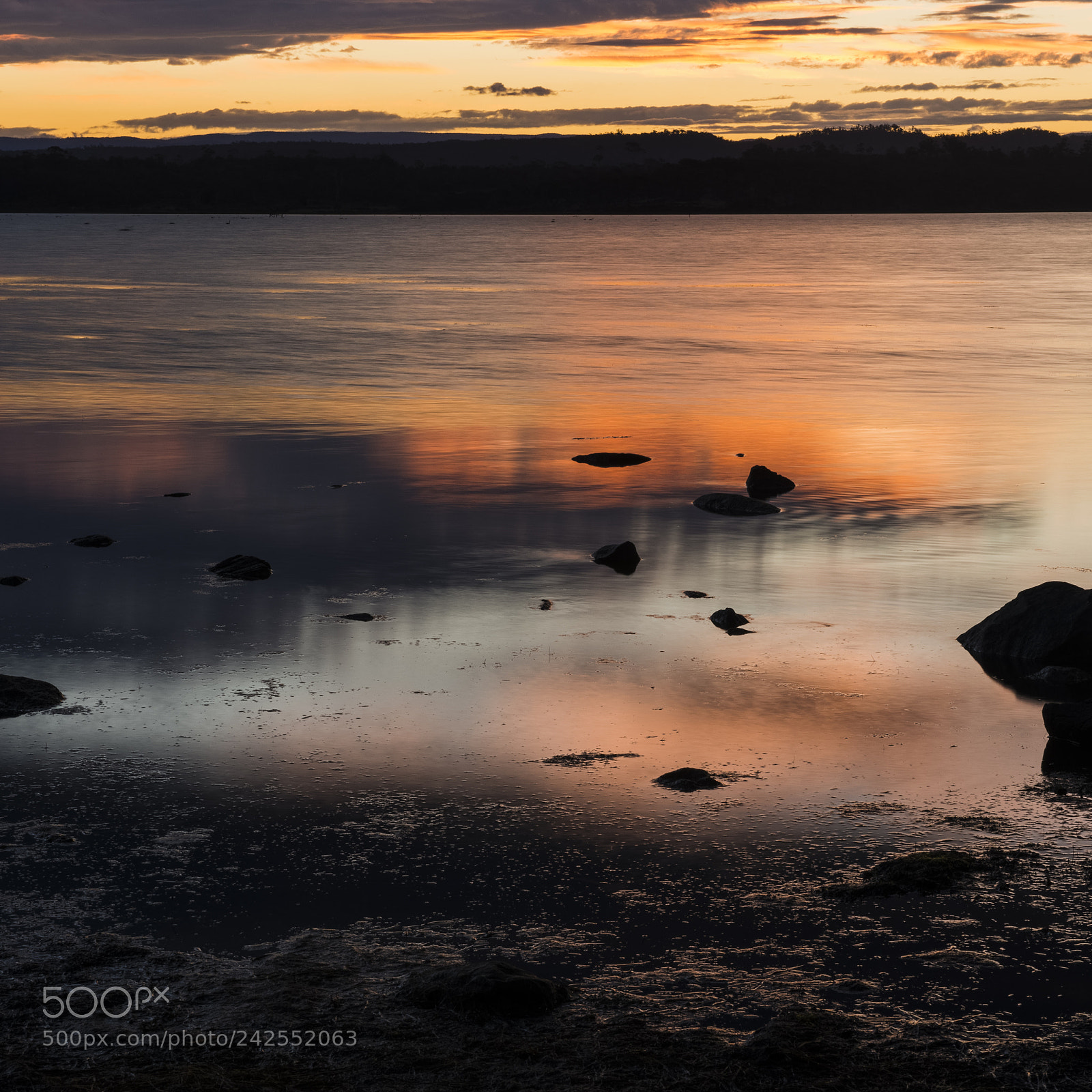 Nikon D800 sample photo. Moulting lagoon in tasmania photography