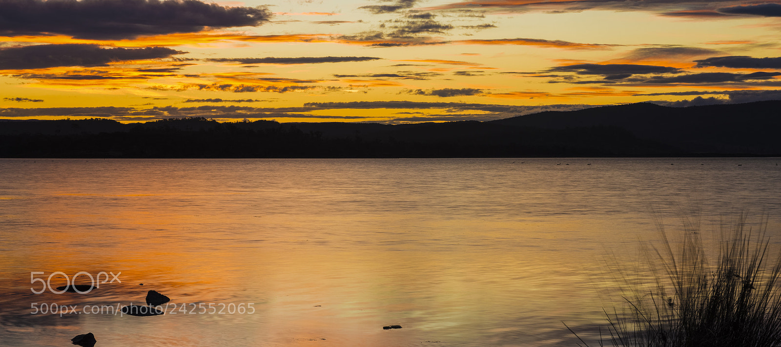 Nikon D800 sample photo. Moulting lagoon in tasmania photography