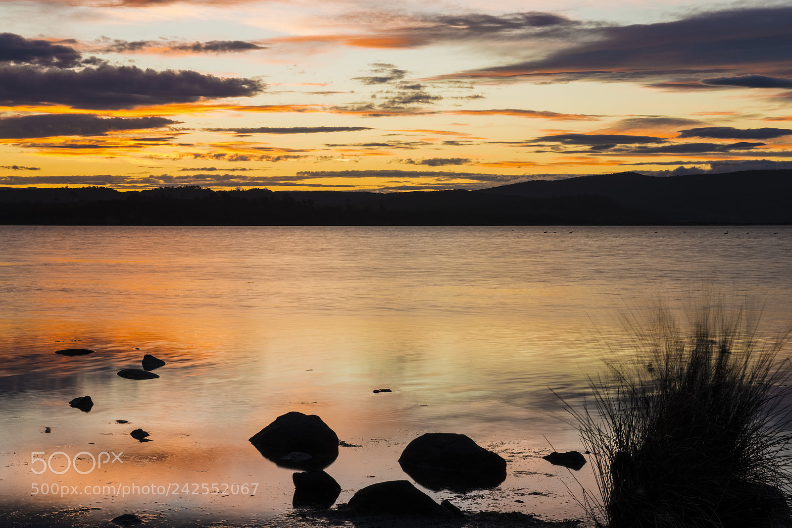 Nikon D800 sample photo. Moulting lagoon in tasmania photography