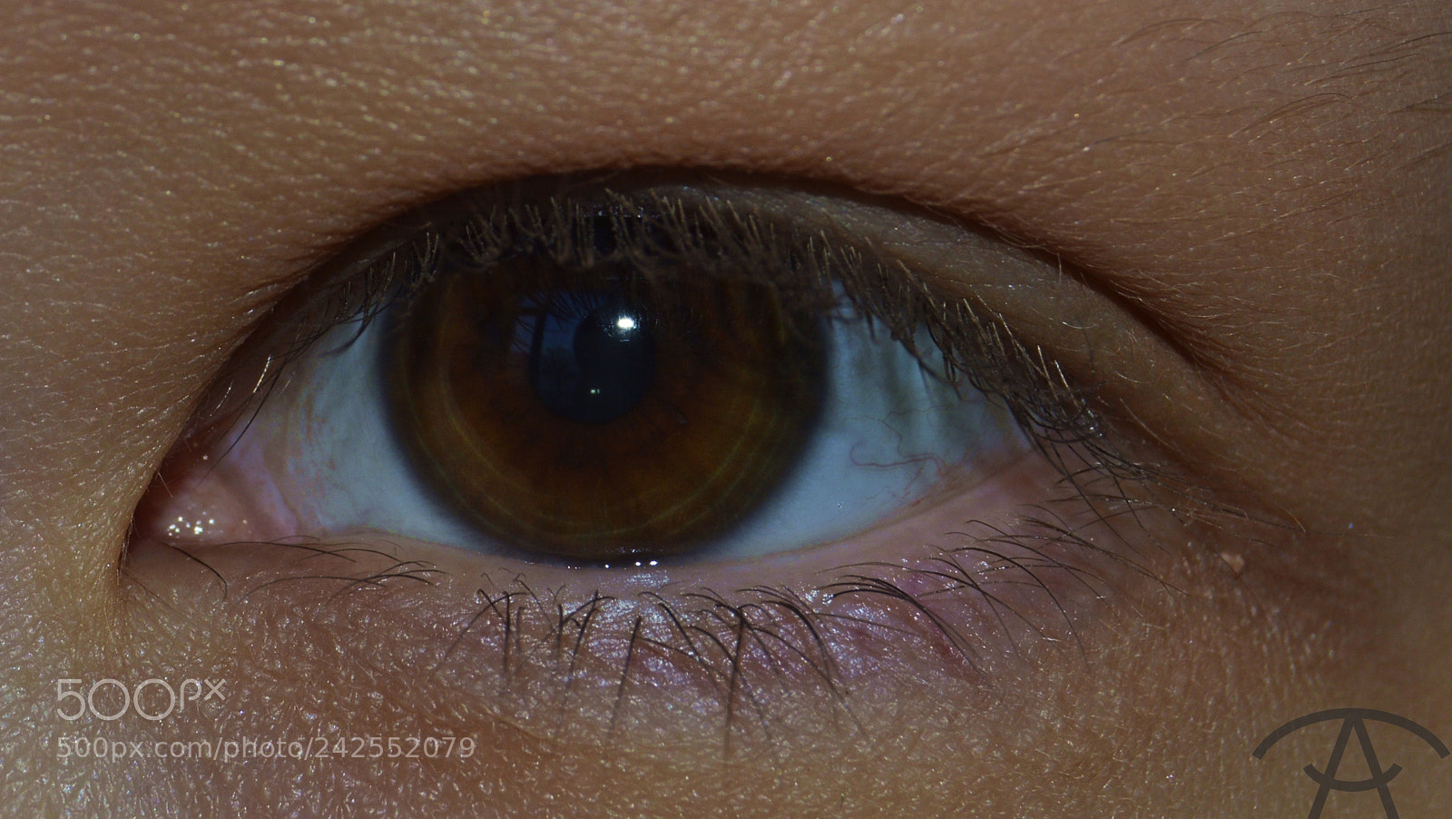 Nikon D3200 sample photo. Julia photography