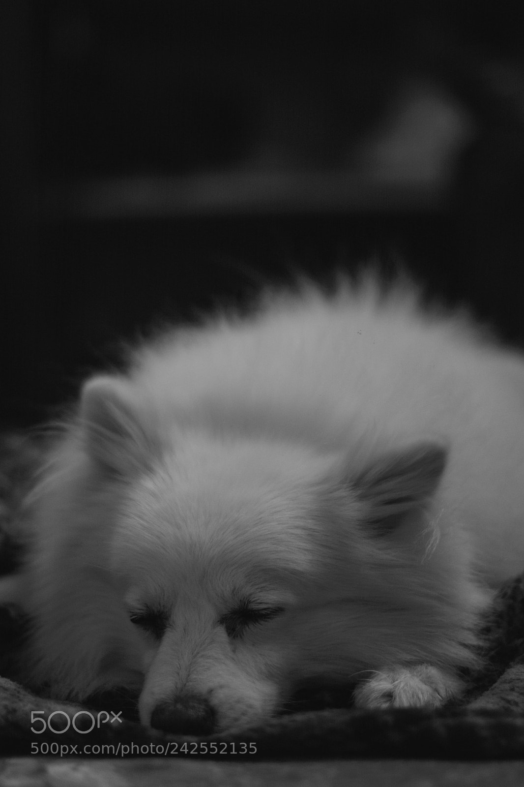 Nikon D7100 sample photo. Soft photography
