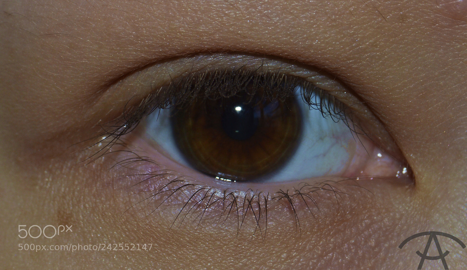 Nikon D3200 sample photo. Julia photography