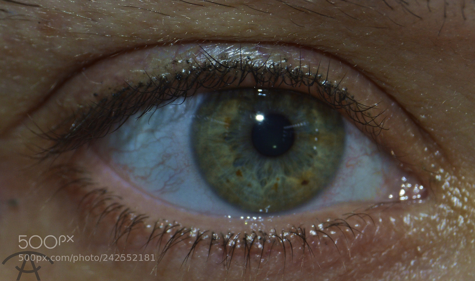 Nikon D3200 sample photo. Veronika photography