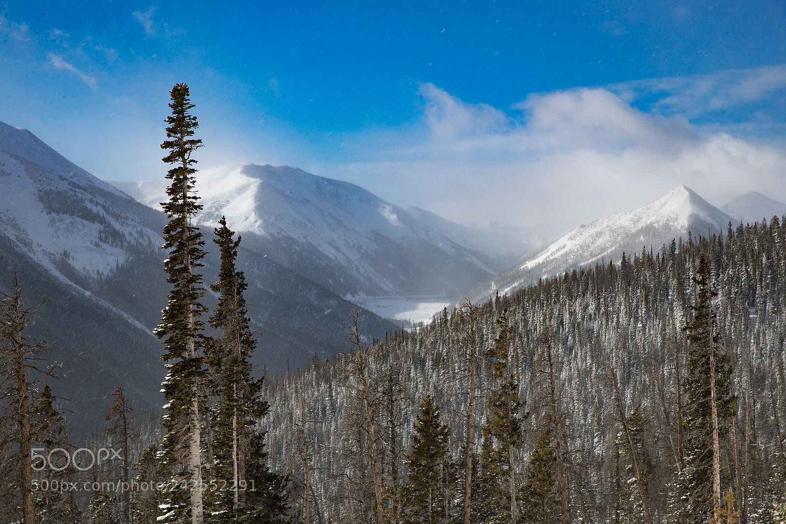 Canon EOS-1D X Mark II sample photo. Rocky mountain high photography