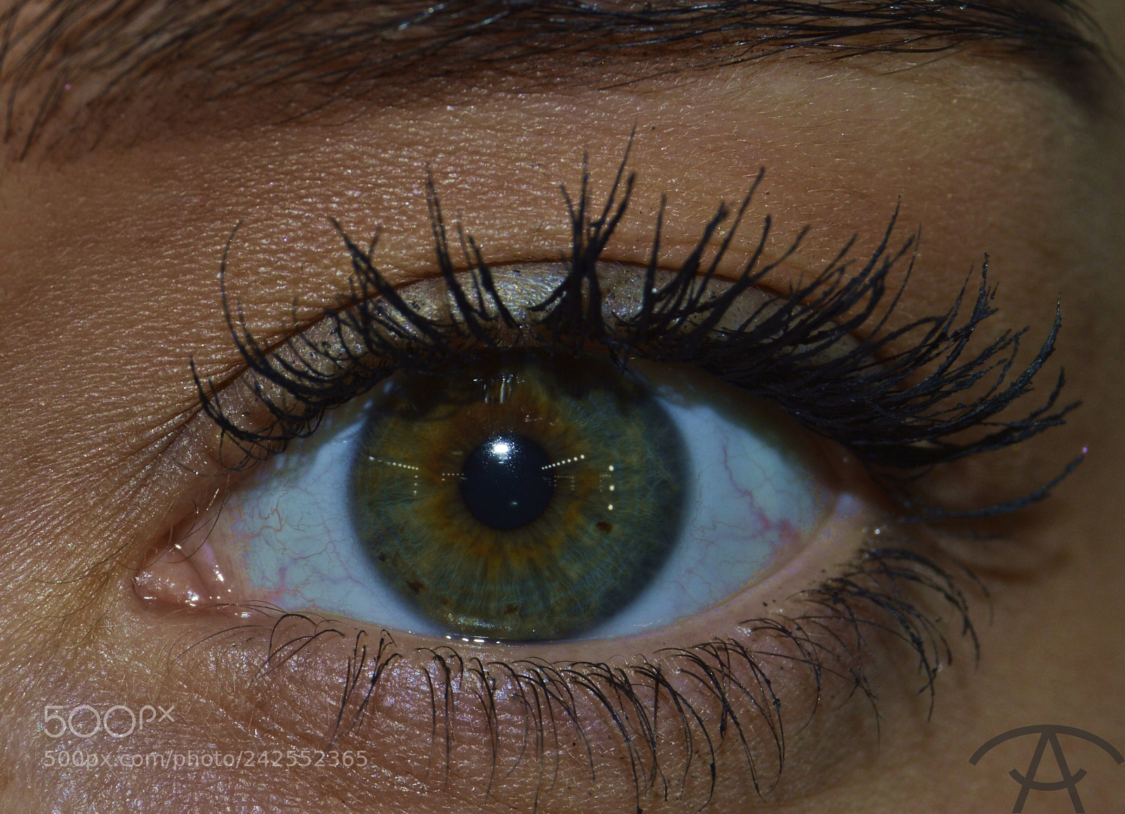 Nikon D3200 sample photo. Christina photography
