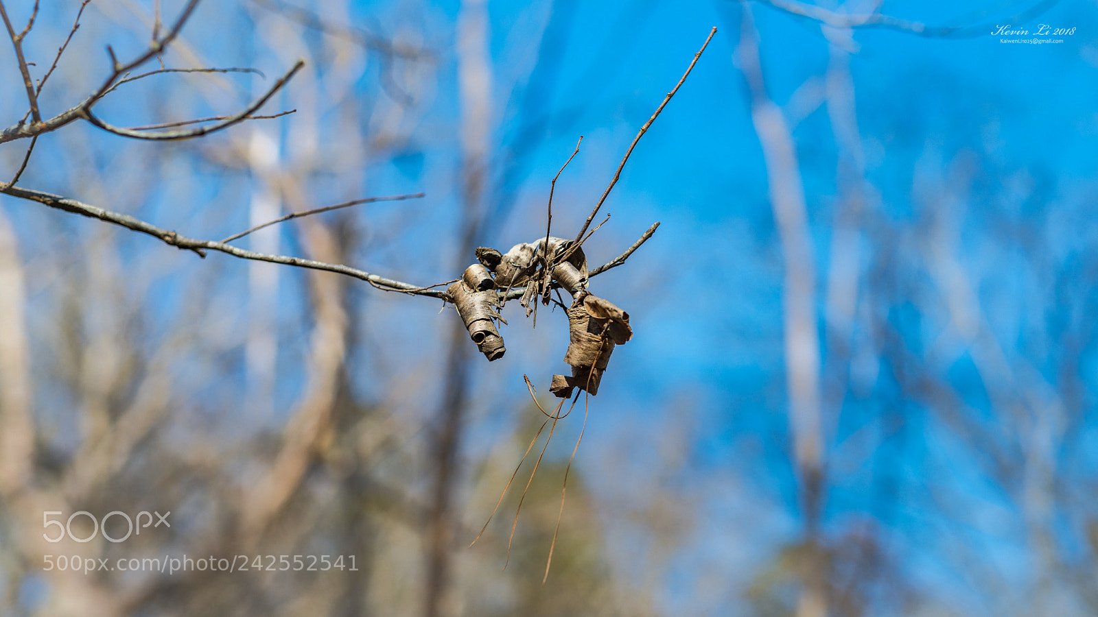 Nikon D850 sample photo. Untitled photography