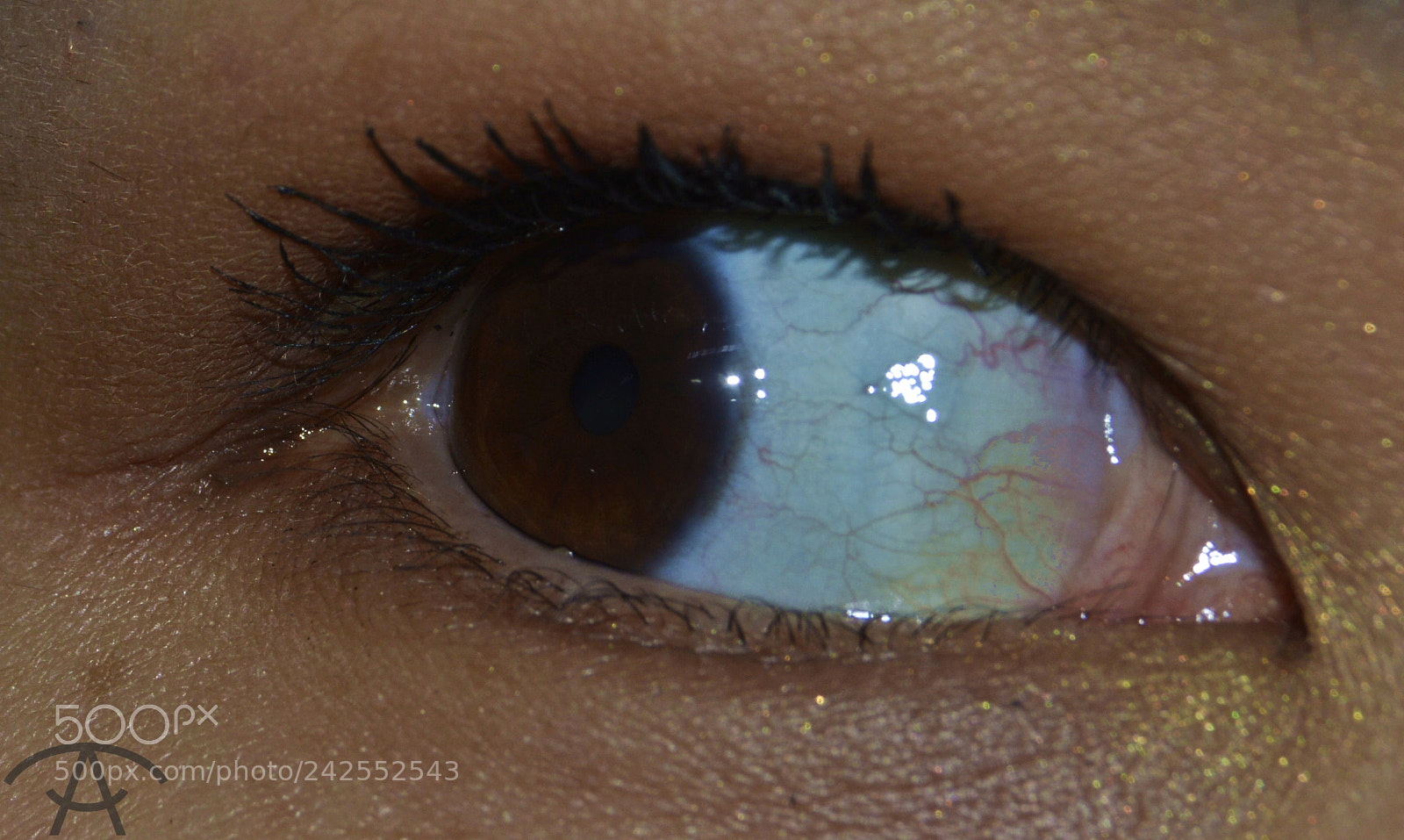 Nikon D3200 sample photo. Lyubov photography