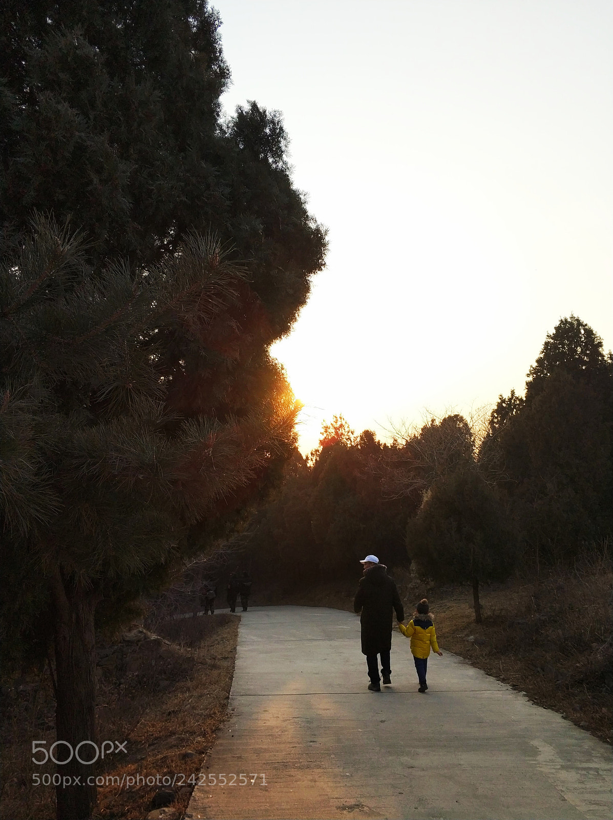 Xiaomi MI6 sample photo. Untitled photography