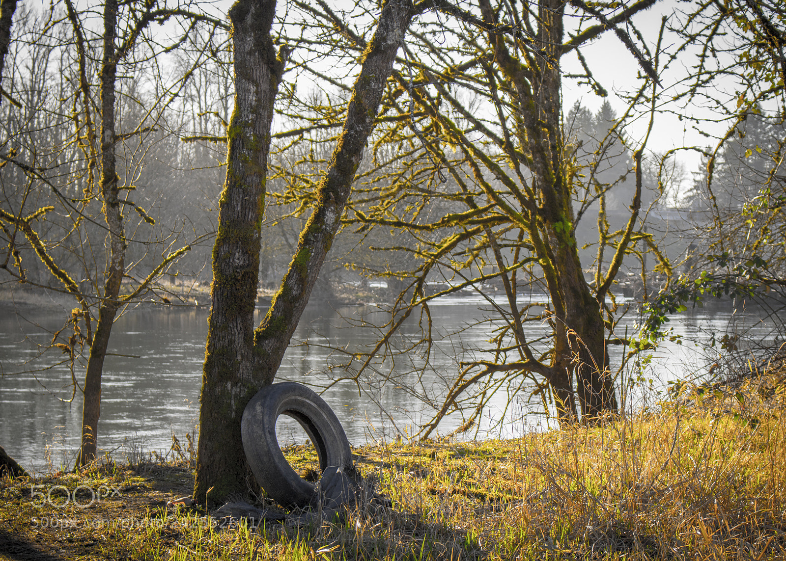 Canon EOS 750D (EOS Rebel T6i / EOS Kiss X8i) sample photo. Down by the river. photography