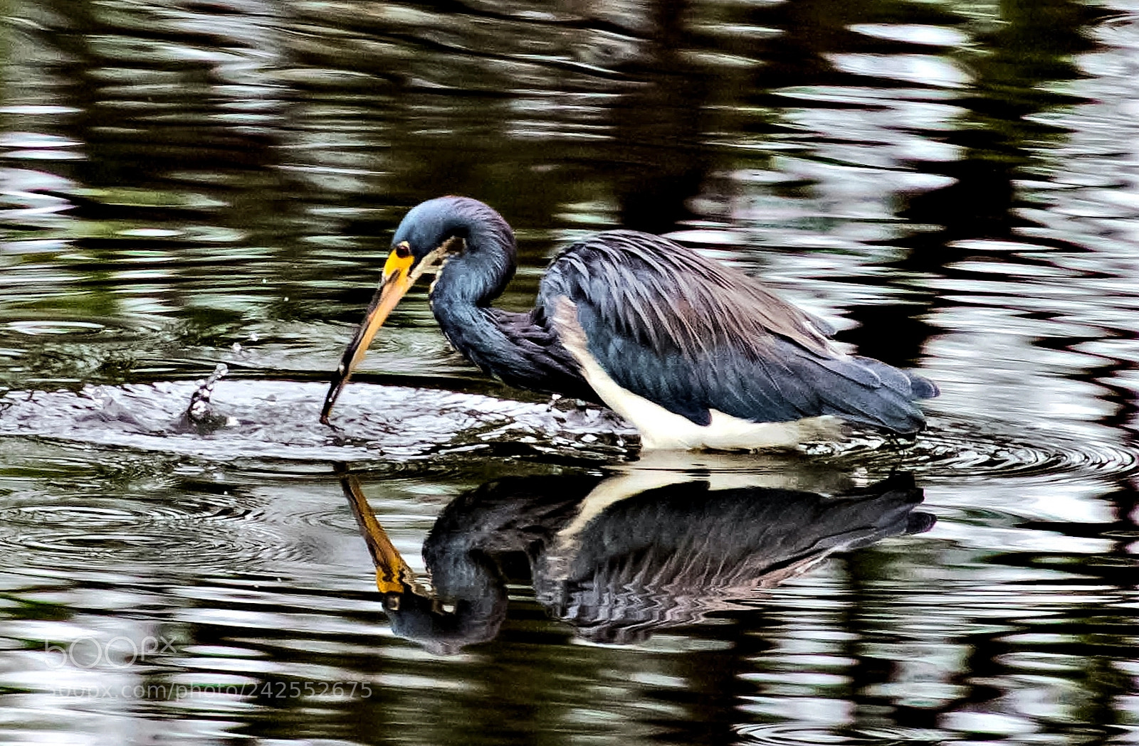 Nikon D810 sample photo. My reflection photography