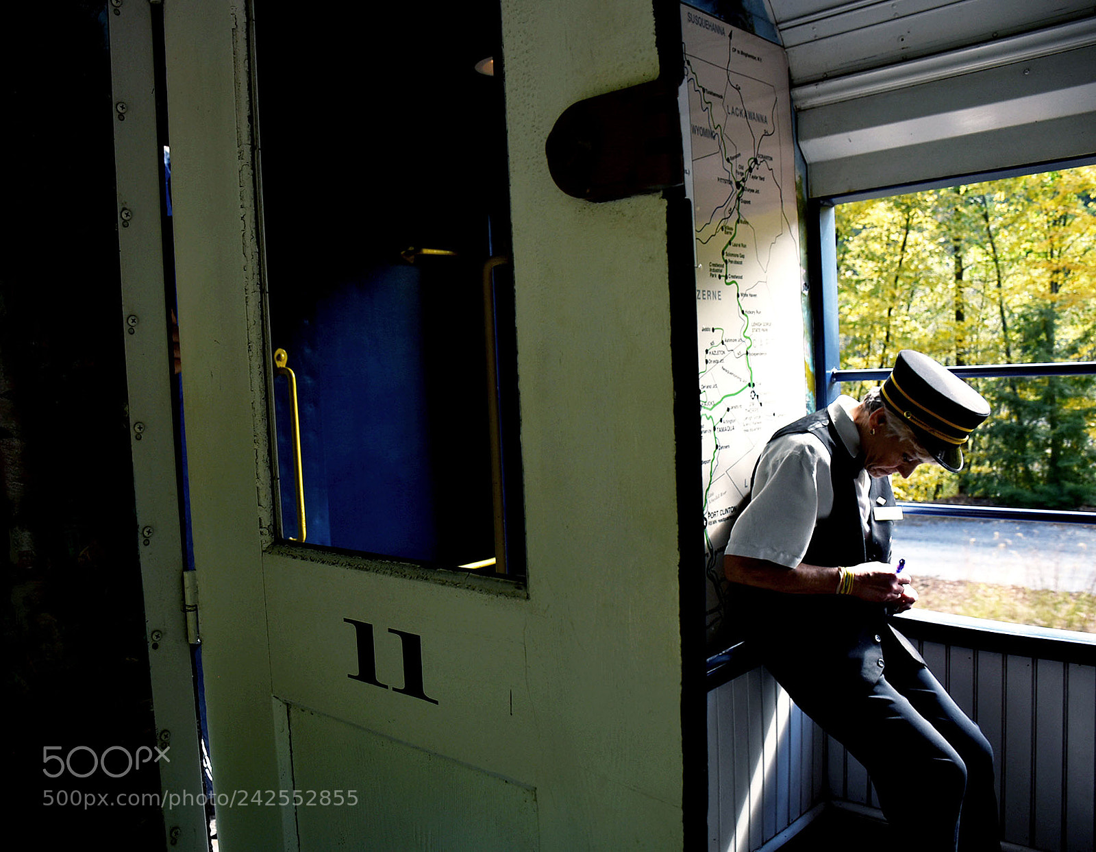 Nikon D5600 sample photo. The conductor's mother photography