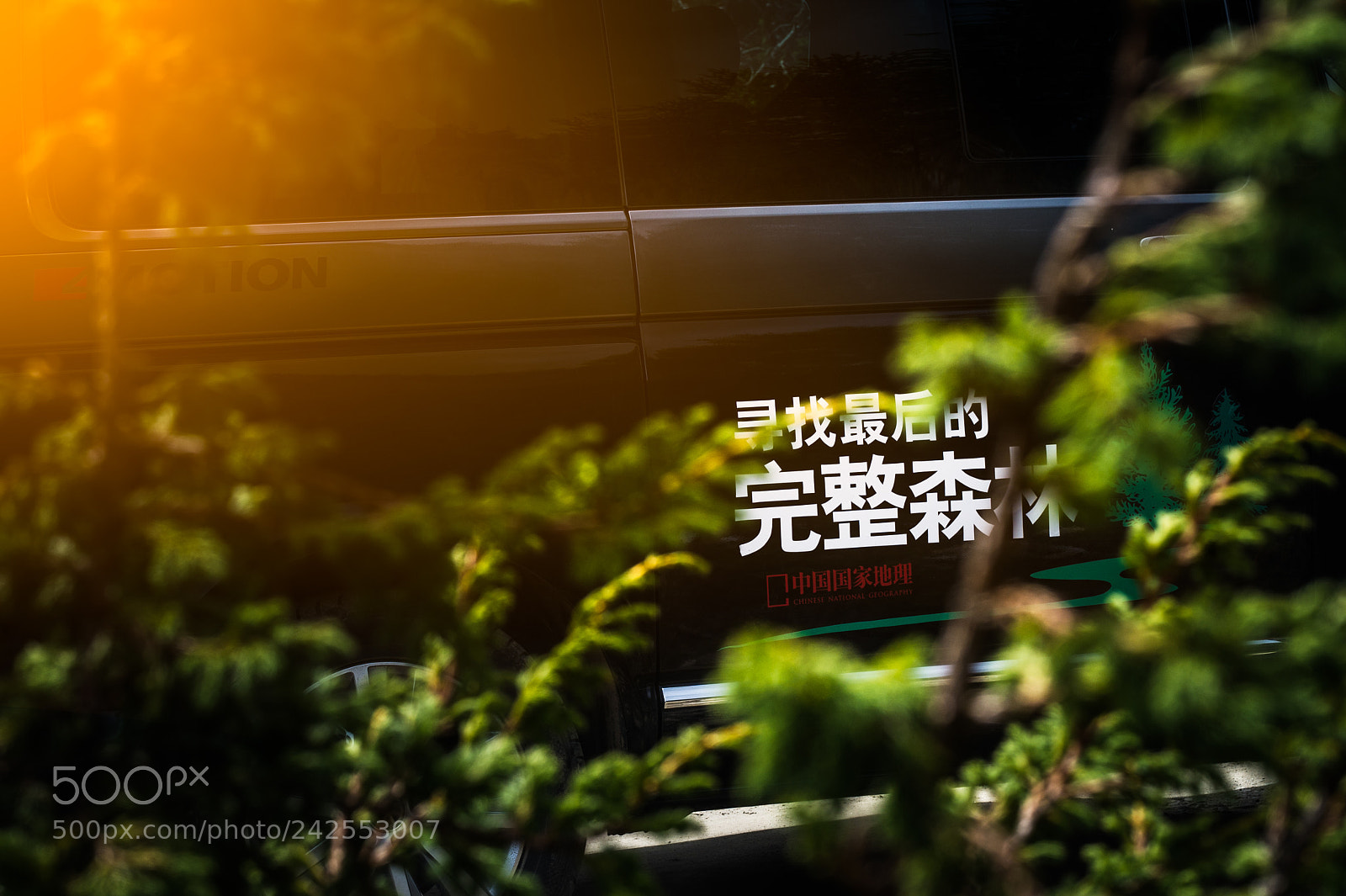 Nikon D4S sample photo. Untitled photography