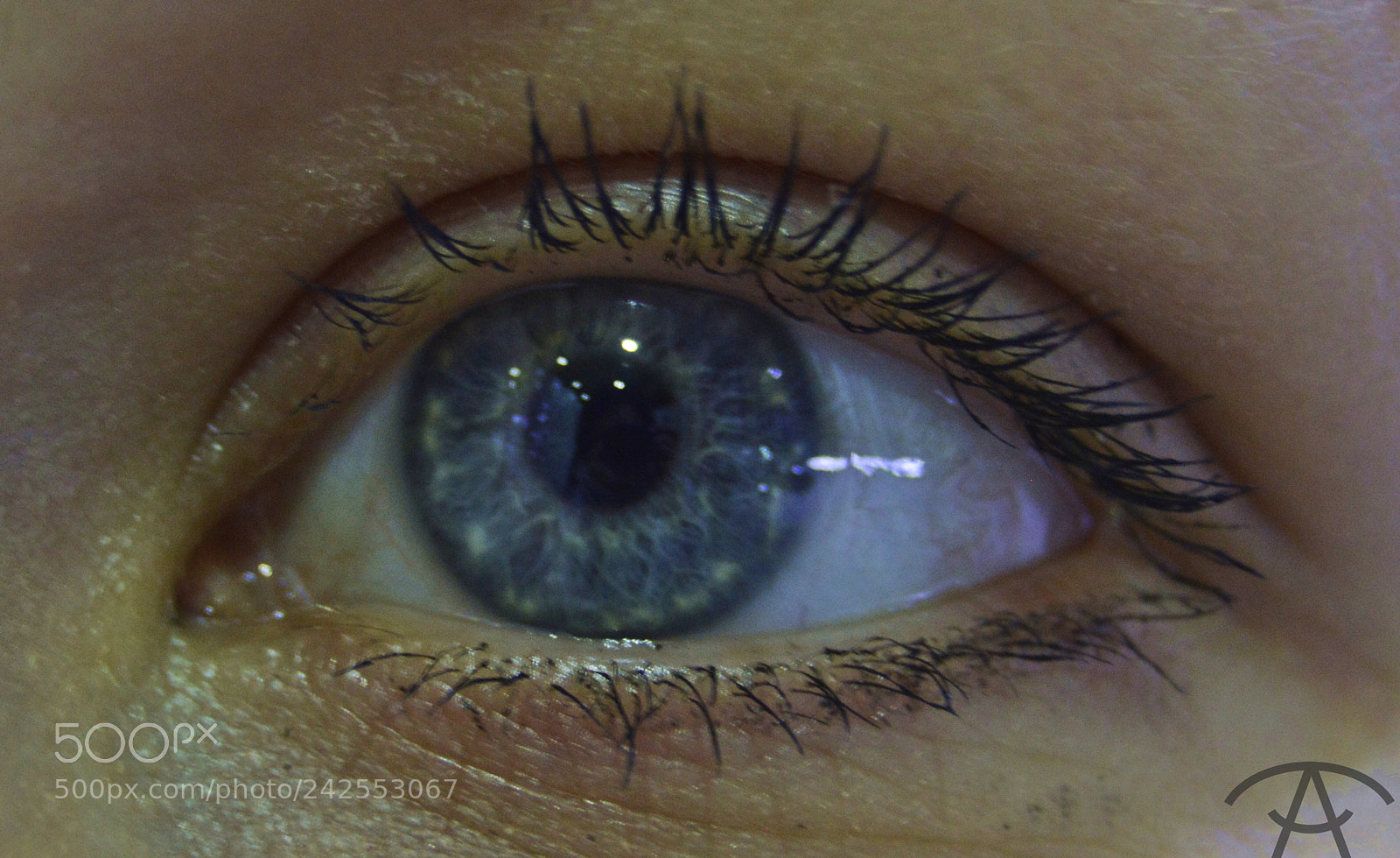 Nikon D3200 sample photo. Anastasia photography