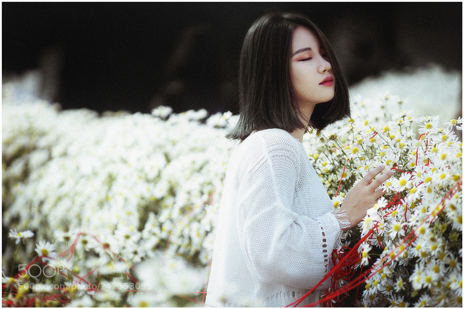 Sony a7 II sample photo. Dsc photography