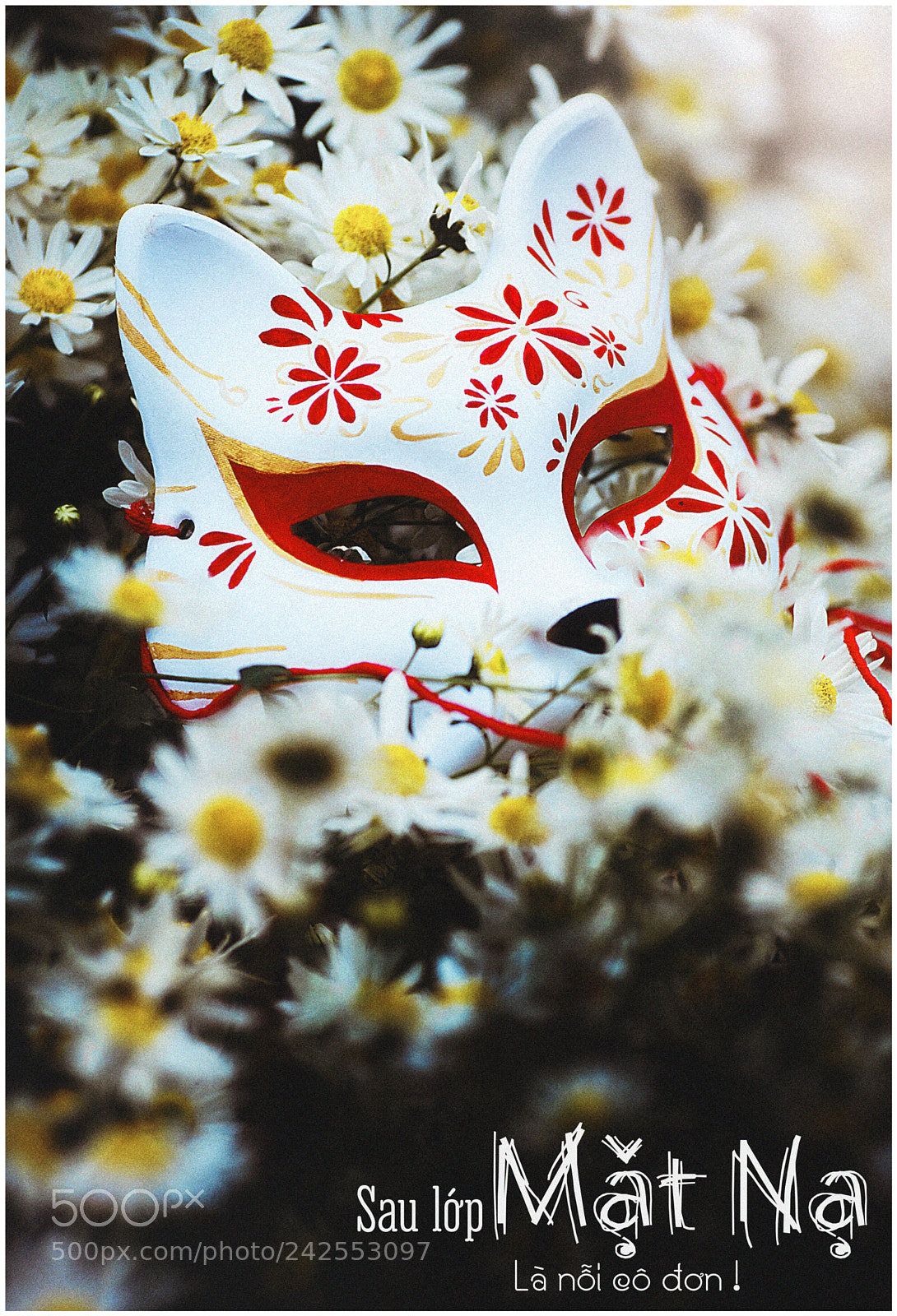 Sony a7 II sample photo. Dsc photography