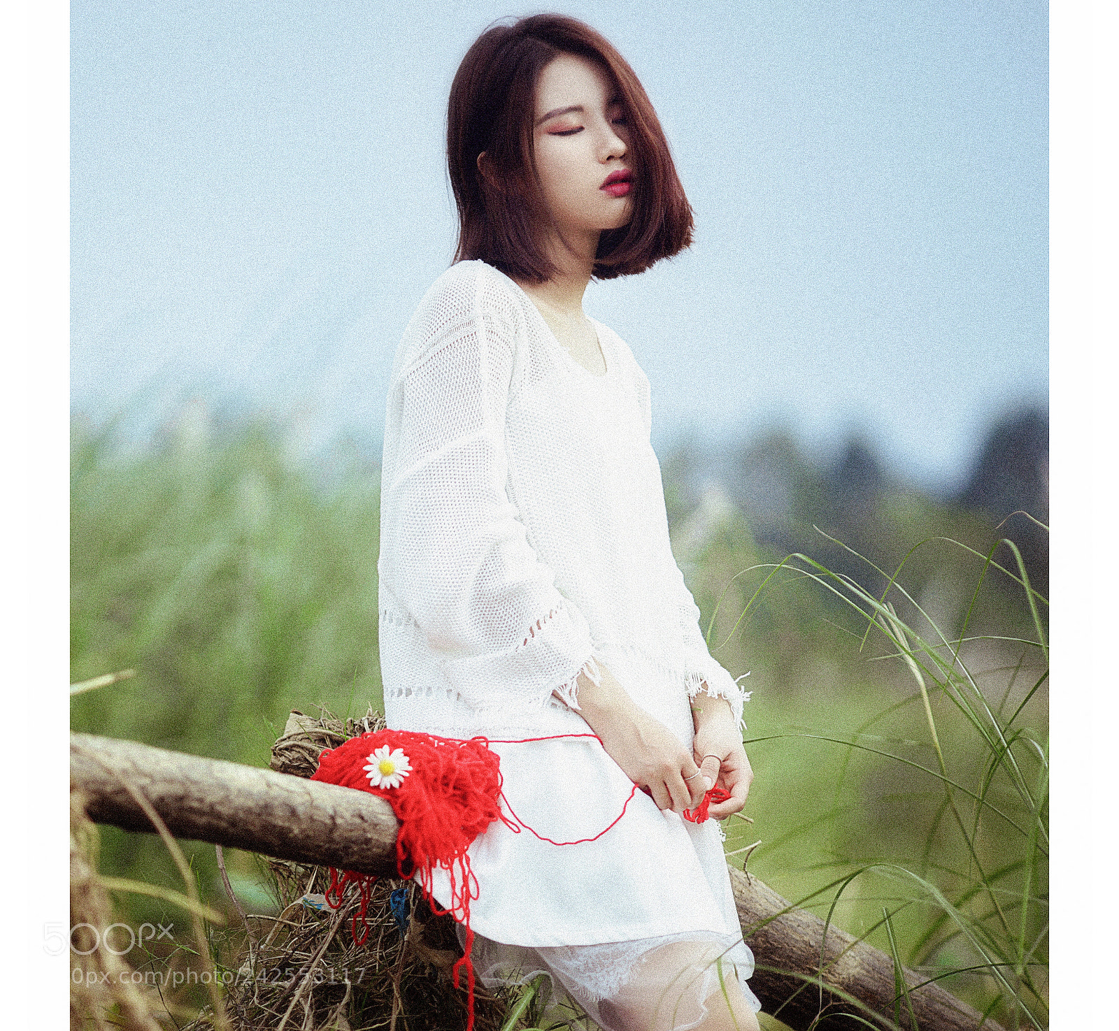 Sony a7 II sample photo. Dsc photography