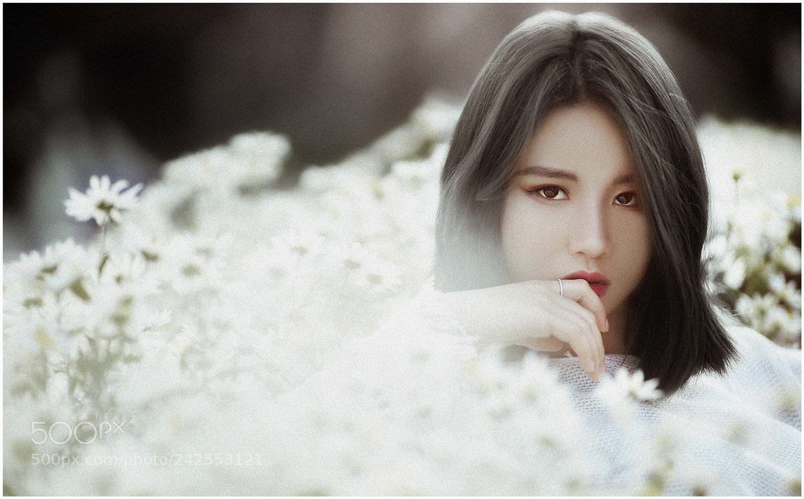Sony a7 II sample photo. Dsc photography