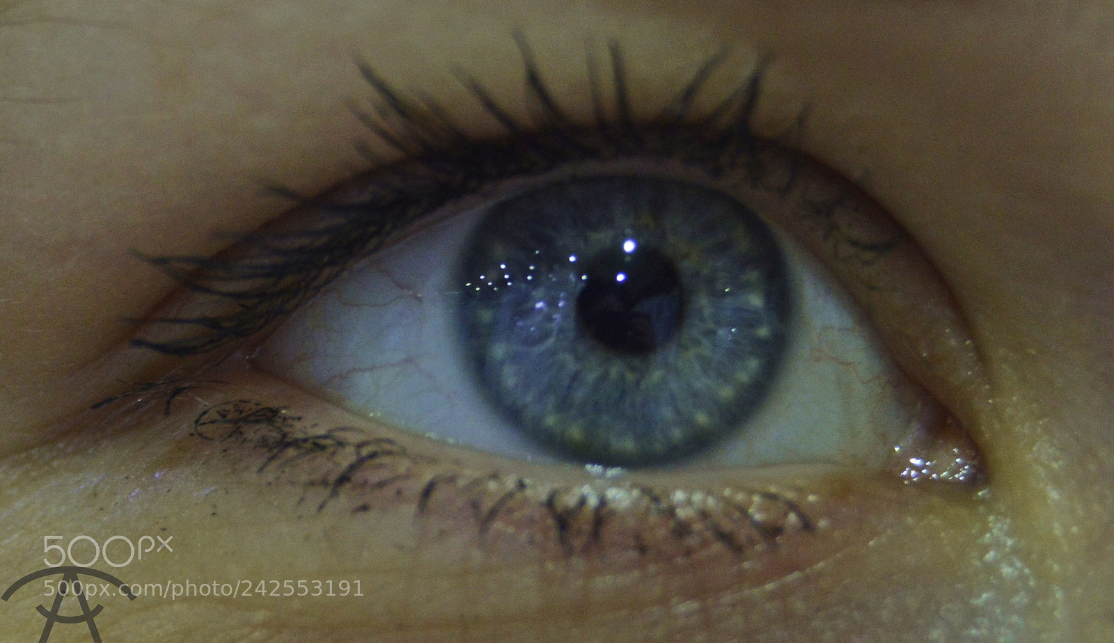 Nikon D3200 sample photo. Anastasia photography