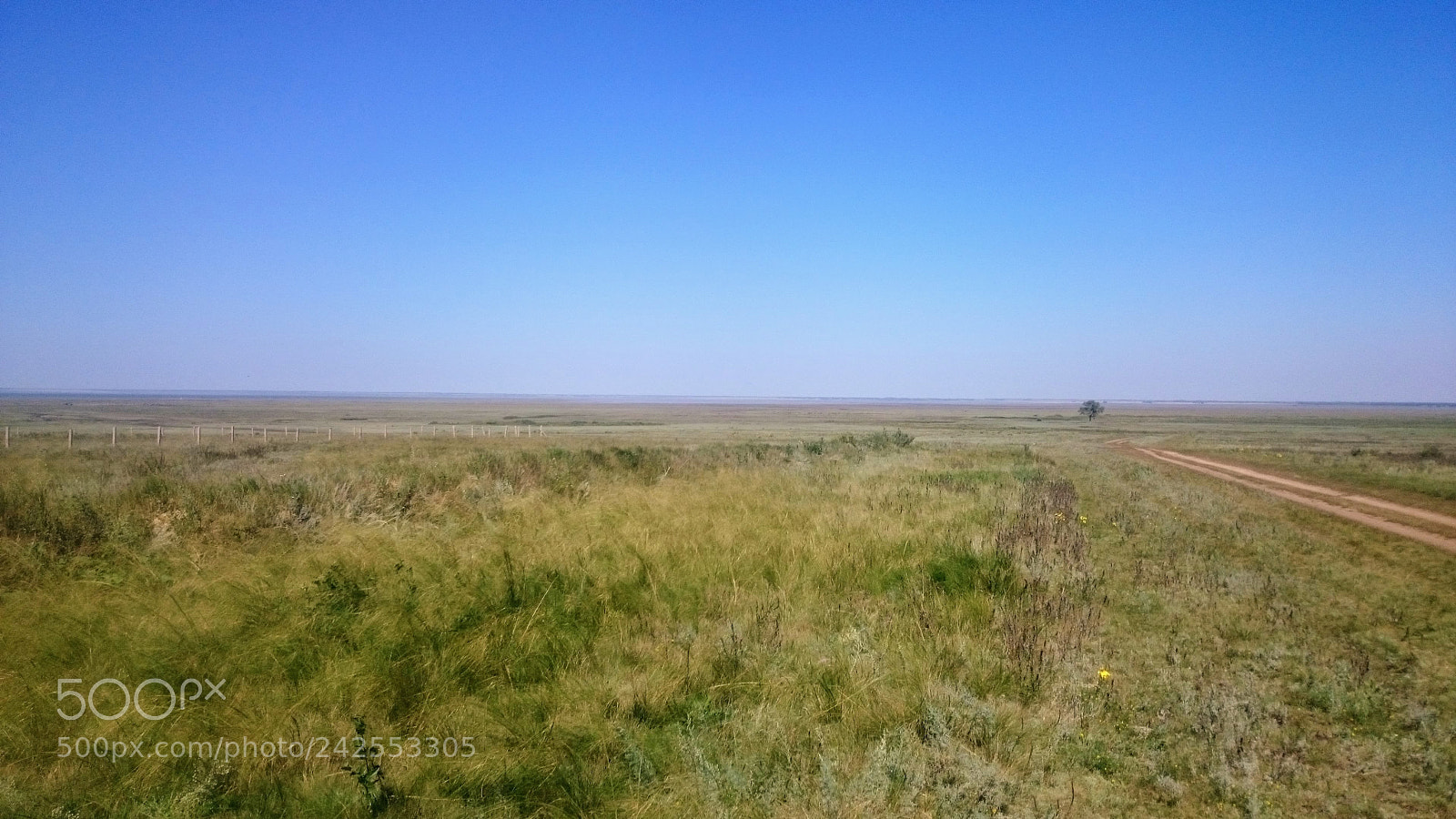 Sony Xperia Z2 sample photo. Steppe photography