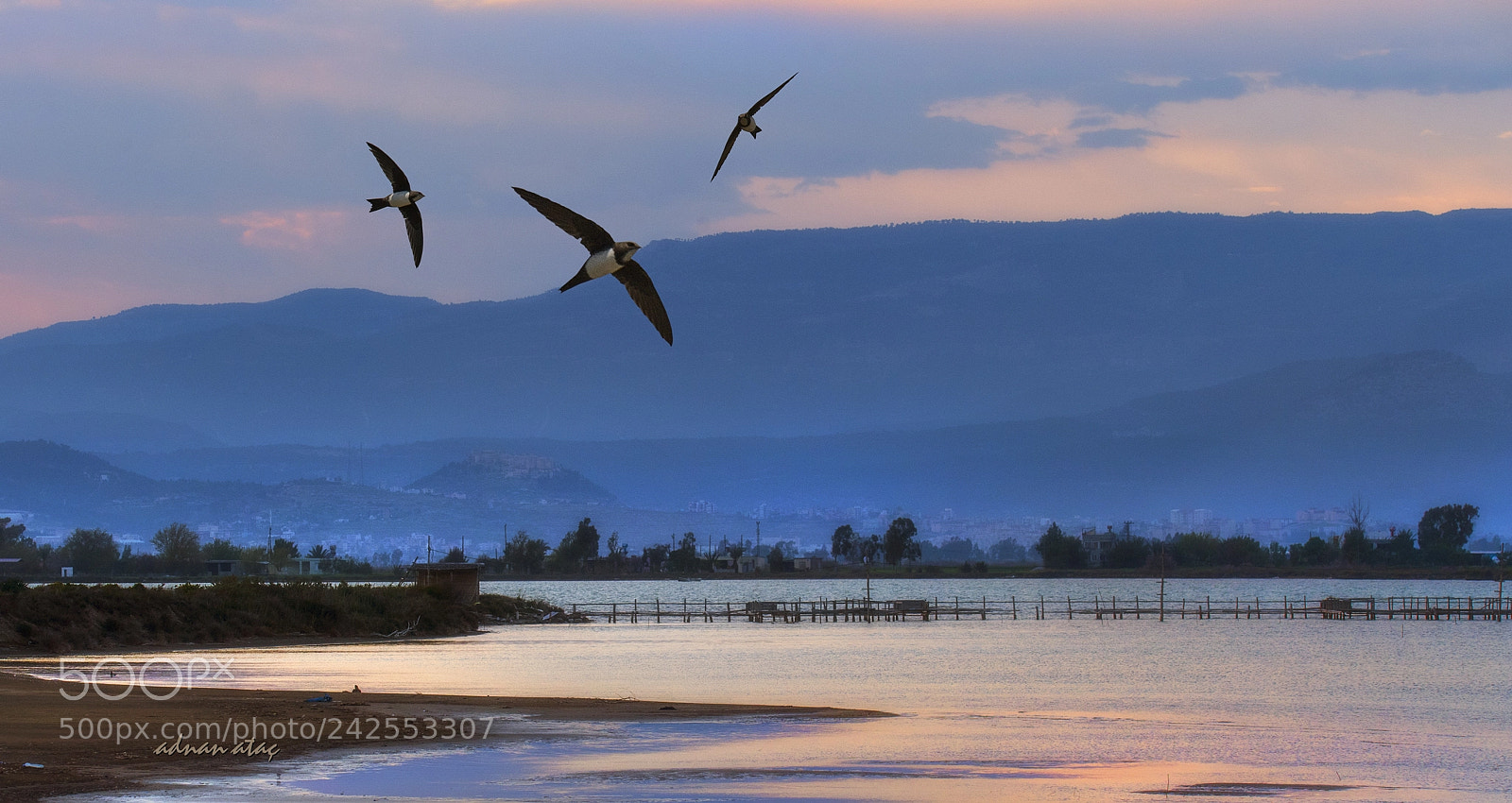 Nikon D5 sample photo. Akkar nl ebabil photography
