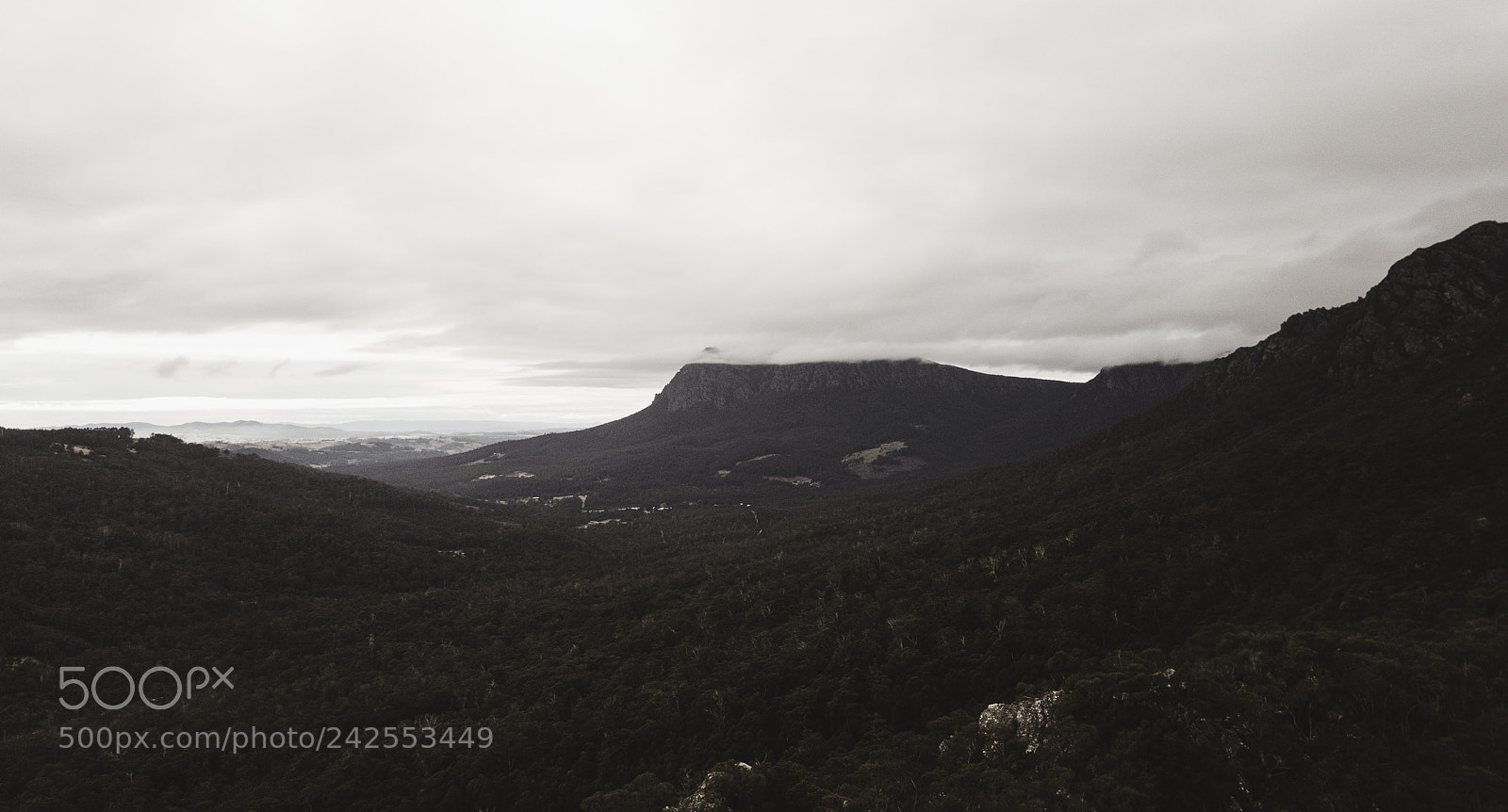 DJI FC220 sample photo. On top of mount photography